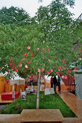peacecamp-07_badenfahrt2_09